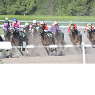 初心者のための初めての競馬入門｜ルール・馬券の買い方・楽しみ方をわかりやすく解説