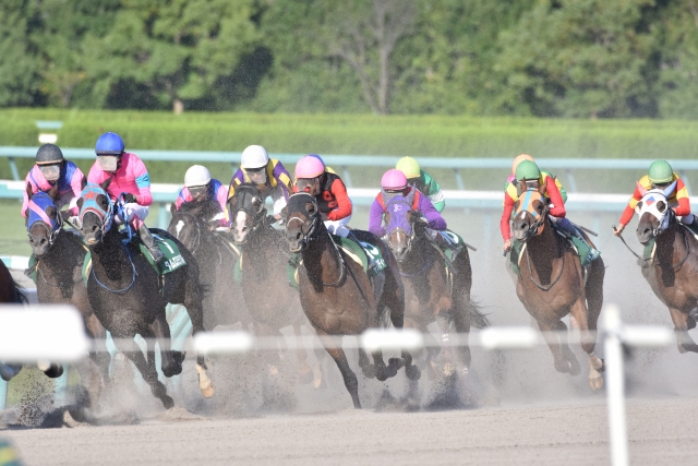初心者のための初めての競馬入門｜ルール・馬券の買い方・楽しみ方をわかりやすく解説